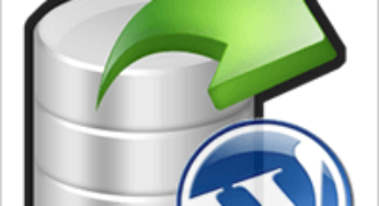 WordPress Full Backup via Server