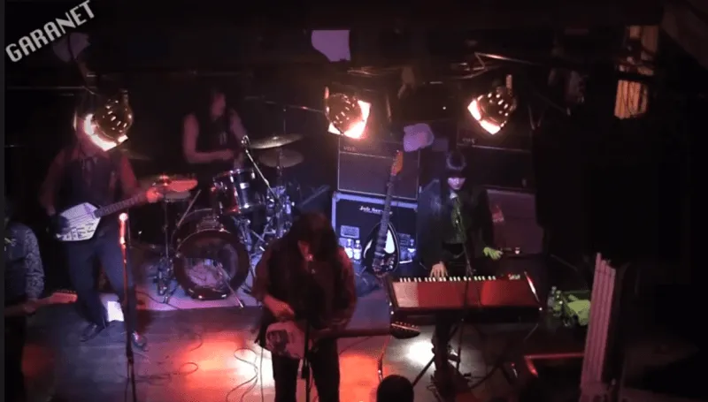 Fuzztones 2011