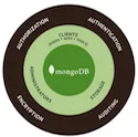 mongodb garanet