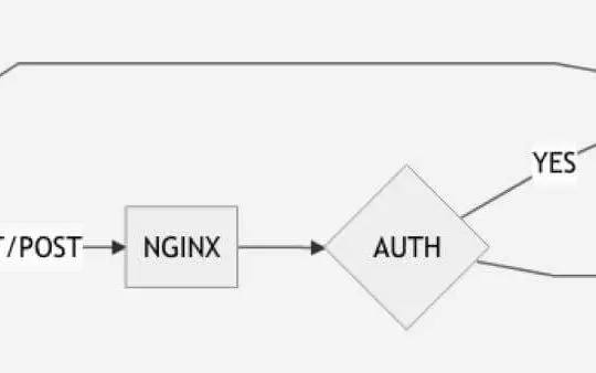 Python-Flask API with 2 Endpoints on Docker behind NGINX Auth